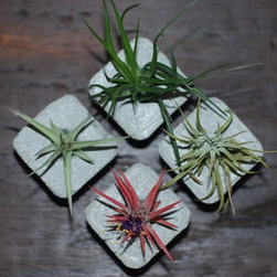 Handmade Concrete Planters - Indoor Pots And Planters
