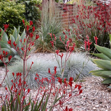 Hardscapes