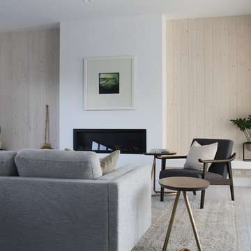 Neutral Light Gray Modern Sofa