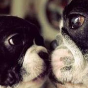 Denise ODonnell's photo