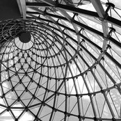 Steph Agar's photo