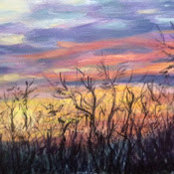 alison solar's photo