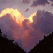 Ellen Pagliaro's photo
