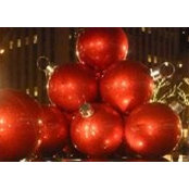 Paula Gardner's photo