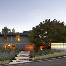 front yard landscape