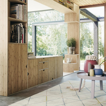 Contemporary Living Room