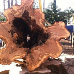 Tree Removal - Outdoor Products