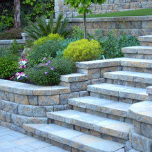 Patio and Stairs