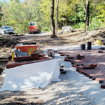 Woodland Restoration In Progress
