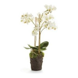 Showroom Inventory - Products