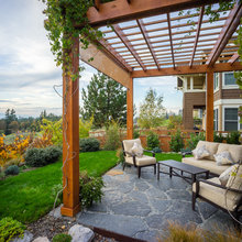 Patio and garden