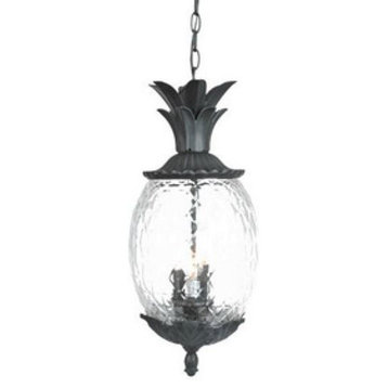 Acclaim Lighting 7516BK Lanai - Three Light Outdoor Hanging Lantern