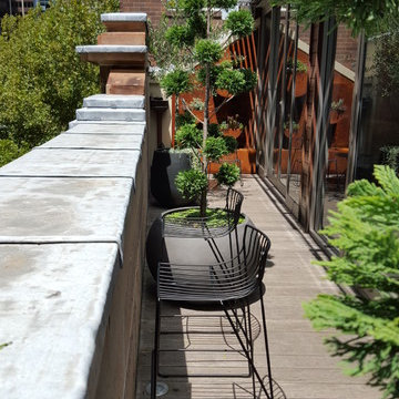 The Rocks Penthouse Terrace
