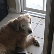 Jim Hackenberg's photo