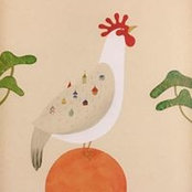 Hiroki Taniguchi's photo