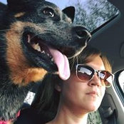 Colleen McCord's photo