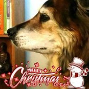 Foto von Babs Marie