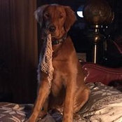 Foto von Jill Dingman Otoole