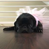 Terri Abruzino's photo