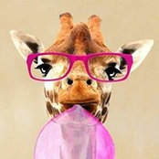 Sandrine Parachini's photo