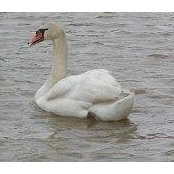 Denise Heintz's photo