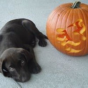Heather Lauter's photo