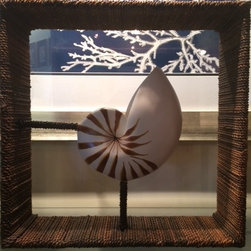 Nautilus Shadow Box - Wall Decor