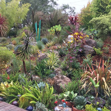 Kensington Collectors Garden