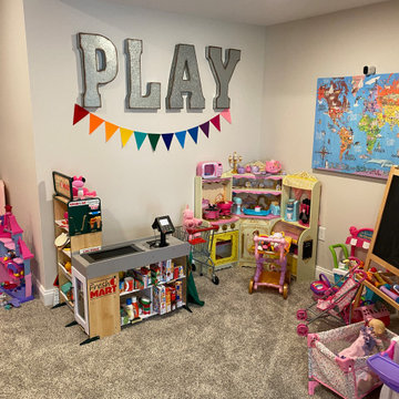 Basement Remodel