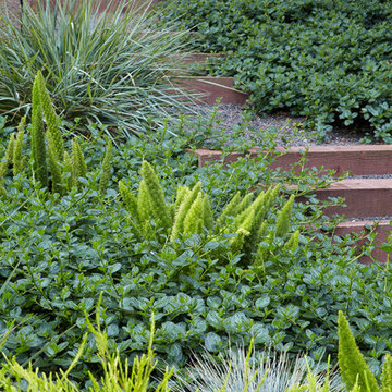 Japanese California Garden