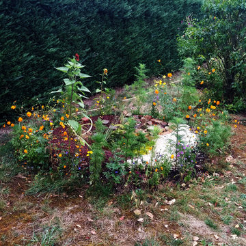 Potager et son bassin