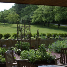 kitchen garden