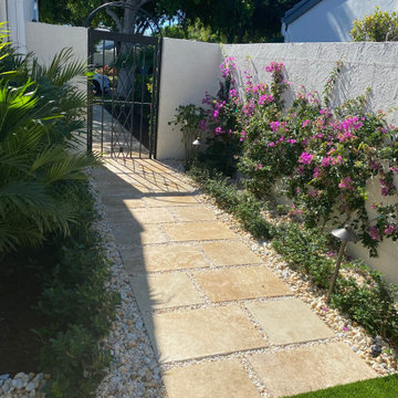 After - Espalier, Trained Vines on Wall