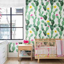 Baby Nursery