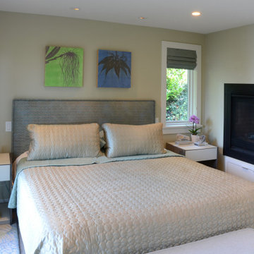 Contemporary Remodel