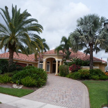 Custom Capistrano Blend