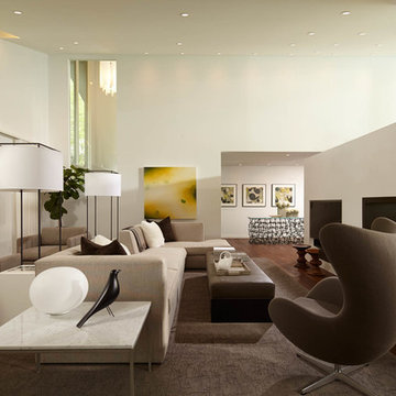 Contemporary Remodel
