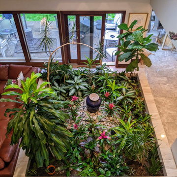 Indoor Tropical Garden