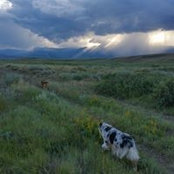 Jim Smith's photo