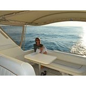 Trish Wiggell's photo