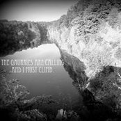 Amanda Allen's photo