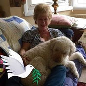 Cheryl Gravereau Quinn's photo