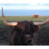 Matthew Paterson's photo