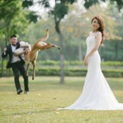 Brandon Liu's photo