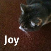 Leslie Patter's photo