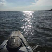 Leddy Foster's photo