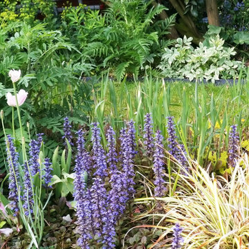Jardin moyen