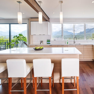 Modern Kitchen