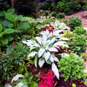 How Ambiance Garden Design was born - My Story