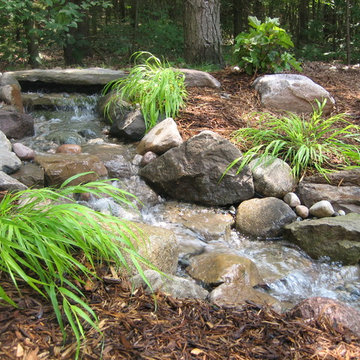 Small 'just a falls' stream